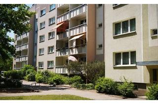 Wohnung mieten in Robert-Koch-Straße 20, 17036 Neubrandenburg, Schön wohnen in der Oststadt!