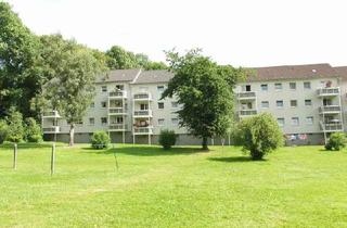 Wohnung mieten in Am Kalkofen, 42115 Elberfeld, Modernisierte 3-Zimmerwohnung mit Balkon