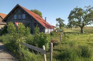 Wohnung mieten in 88260 Argenbühl, 4-Zimmer-Wohnung im Aussenbereich Wangen i.Allgäu