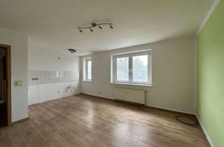 Wohnung mieten in Paulahof 6a, 06259 Frankleben, Schöne 1-Raum-Wohnung nahe dem Runstädter See - Paulahof 6a / WE 05