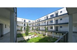 Wohnung mieten in Am Vallendarer Törchen 14, 56203 Höhr-Grenzhausen, Erstbezug traumhafte 1-Zimmer Wohnung Dachgeschoss im Wohnpark Limes Living in Höhr-Grenzhausen