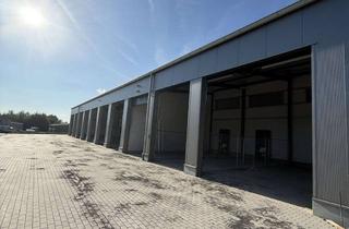 Lager mieten in 37235 Hessisch Lichtenau, Halle mit 10 Garagenstellplätzen zu vermieten – 40 m² & 50 m² in Hessisch Lichtenau