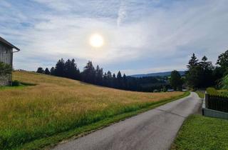 Haus kaufen in 94089 Neureichenau, Dreimal Wohnträume unter einem Dach - Wohnen wo andere Urlaub machen.