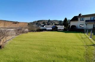 Grundstück zu kaufen in 08233 Treuen, Hier ist der Platz für Dein Haus