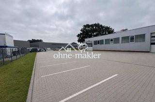 Geschäftslokal mieten in An Der Illau 19, 21436 Marschacht, Neuwertige Gewerbehalle (300 m²) mit Büro, 1.500 m² Freifläche & Top-A25-Anbindung