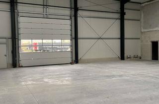 Gewerbeimmobilie mieten in 44579 Castrop-Rauxel, Neuwertige moderne Hallenfläche in Castrop-Rauxel ab sofort zu vermieten.