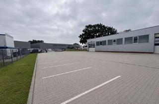 Büro zu mieten in An Der Illau 19, 21436 Marschacht, Neuwertige Gewerbehalle (300 m²) mit Büro, 1.500 m² Freifläche & Top-A25-Anbindung