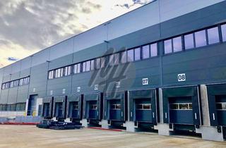 Büro zu mieten in 68519 Viernheim, KEINE PROVISION ✓ NEUBAU / ERSTBEZUG ✓ Lager-/Produktion (5.800 m²) & Büro-/Sozial (350 m²)