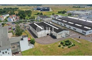Gewerbeimmobilie mieten in 99880 Waltershausen, 900 m² Halle für Produktion o. Lager I freitragend I ab sofort I Provisionsfrei