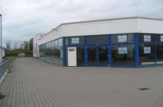 Gewerbeimmobilie kaufen in Am Kieselberg 14, 55457 Gensingen, KFZ Werkstatt mit Ausstellungshalle