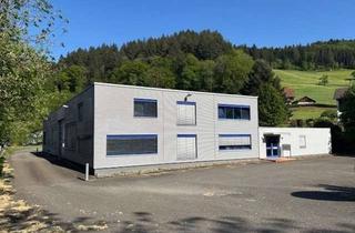Gewerbeimmobilie mieten in 77756 Hausach, Vielseitig nutzbare Produktionshalle