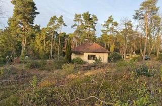 Grundstück zu kaufen in Horster Landstraße 80, 21220 Seevetal, Direkter Verkauf durch die Mimmo Nord GmbH – ohne Käufercourtage