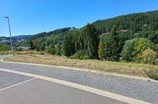 Grundstück zu kaufen in 53940 Hellenthal, Baugrundstück Hellenthal-Blumenthal provisionsfrei