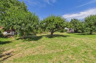 Grundstück zu kaufen in 84144 Geisenhausen, Großzügiges Baugrundstück in gewachsener Wohnlage – Verwirklichen Sie Ihren Wohntraum