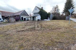 Grundstück zu kaufen in 89284 Pfaffenhofen, BAUGRUNDSTÜCK MIT ALTBESTAND