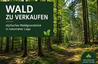 Grundstück zu kaufen in 89359 Kötz, Waldgrundstück eben und gut zugänglich