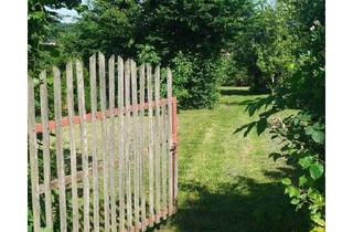 Immobilie kaufen in Ob Dem Sandweg, 71364 Winnenden, Top Freizeitgrundstück mit toller Aussicht, Gartenhaus, Grillplatz, Wasser, Obst- und Nussbäumen