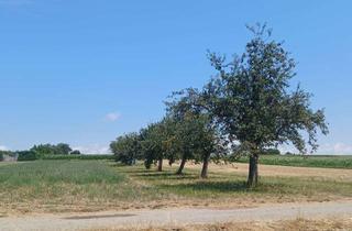 Gewerbeimmobilie kaufen in 73760 Ostfildern, Streuobstwiese mit ca. 1.150 m² in Ostfildern-Ruit