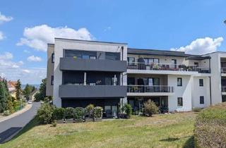Wohnung mieten in Schöne Aussicht, 01705 Freital, Pesterwitz: sonnige 3-Zi.-Wohnung mit großer Süd-West-Terrasse & Parkett