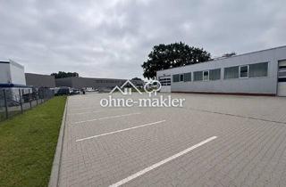 Büro zu mieten in 21436 Marschacht, Neuwertige Gewerbehalle (300 m²) mit Büro, 1.500 m² Freifläche & Top-A25-Anbindung