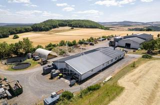 Büro zu mieten in 56651 Niederzissen, Ruhige Alternative zum Industriegebiet: Büroflächen mit beheizter Lagerhalle nahe der A61