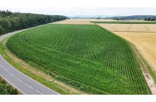 Grundstück zu kaufen in 64823 Groß-Umstadt, DIETZ: Ackerlandfläche direkt an einer Landstraße zu verkaufen zwischen Groß-Umstadt und Münster!