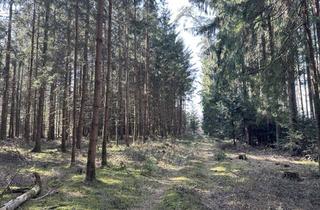 Grundstück zu kaufen in 83547 Babensham, Brennholz aus eigenem Wald