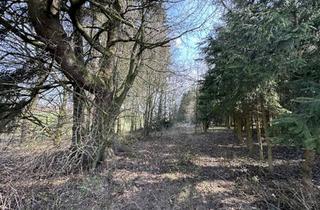 Grundstück zu kaufen in 83547 Babensham, Brennholz aus eigenem Wald