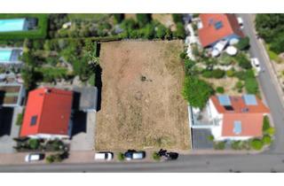 Grundstück zu kaufen in 76835 Burrweiler, Traumhaftes Baugrundstück mit Panoramablick in begehrter Wohnlage von Burrweiler