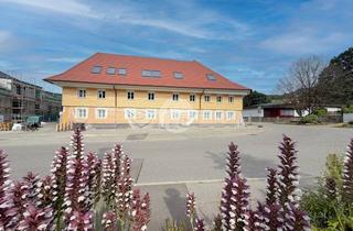 Wohnung mieten in 79254 Oberried, Historisches Ambiente. Zeitgemäßer Wohnkomfort. 3 Zi. EG-Wohnung zur Miete