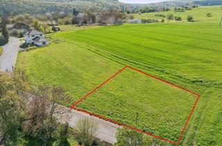 Immobilie kaufen in 35619 Braunfels, Ruhiges Baugrundstück am Ortsrand – Natur pur in Braunfels-Tiefenbach!