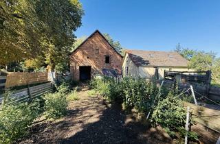 Haus kaufen in 14827 Wiesenburg, Pferde, Hunde, Hühner? Platz genug! Bezugsfertiges Anwesen am Waldrand