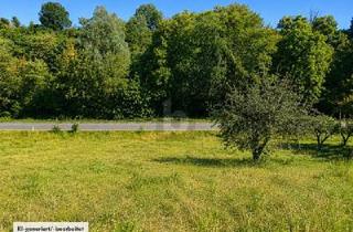 Grundstück zu kaufen in 73433 Aalen, Aalen - TOP LAGE IN WASSERALFINGEN