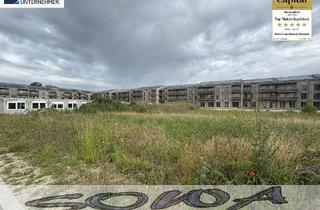 Grundstück zu kaufen in 86633 Neuburg, Neuburg - Platz für Ihr Mehrfamilienhaus - Großzügiges Baugrundstück iin Neuburg - Heinrichsheim - Ein Objekt von SOWA Immobilien & Finanzen Ihrem Immobilienprofi vor Ort