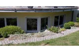 Wohnung mieten in Warteweg, 65239 Hochheim, Modern geschnittene, helle Souterrain-Wohnung in Einfamilienhaus