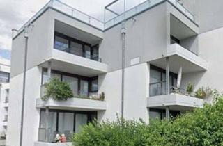Wohnung mieten in 64380 Roßdorf, Moderne 3-Zimmer-Wohnung mit zwei Balkonen und neuer Einbauküche