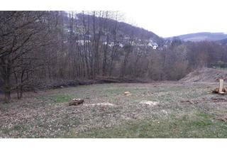 Grundstück zu kaufen in Bergstrasse 10, 57580 Elben, Großzügiges Baugrundstück in ruhiger Lage