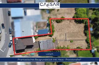 Grundstück zu kaufen in 64653 Lorsch, Großes Baugrundstück mit Bestandsimmobilie für Eigennutzer, Familie oder Projektentwicklung