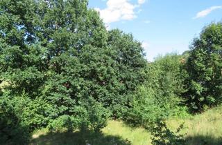 Grundstück zu kaufen in 94234 Viechtach, 2 Baugrundstücke auf einer Anhöhe in sehr ruhiger und idyllischer Stadtrandlage mit Fernsicht