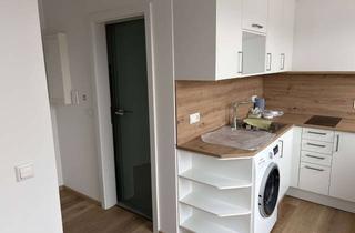 Immobilie mieten in Kapfingerstrasse 28, 94032 Innstadt, Hochwertiges Appartement Stadtmitte