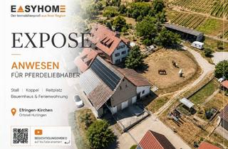 Haus kaufen in 79588 Efringen-Kirchen, Anwesen für Pferdeliebhaber