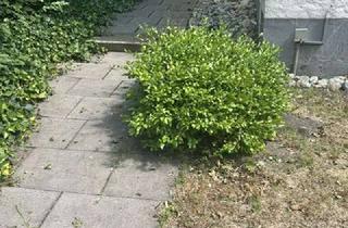 Haus kaufen in 72800 Eningen, Lichtdurchflutetes Familienglück: einladende DHH mit Wohnfühlgarantie, bezugsfrei, Eningen u.A.