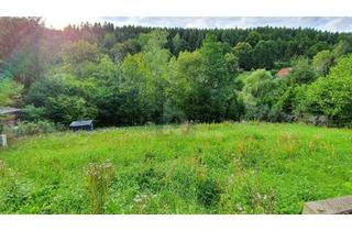Grundstück zu kaufen in 98528 Suhl, HIER IHREN TRAUM VERWIRKLICHEN - EFH ODER DH