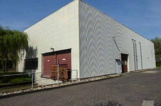 Gewerbeimmobilie mieten in 40721 Hilden, Vielseitige nutzbare Lager-und Logistikfläche in TOP Lage von Hilden