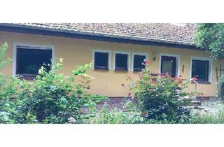 Haus kaufen in 27793 Wildeshausen, Wildeshausen - EFH freistehend 2km südlich von Wildeshausen