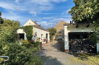 Einfamilienhaus kaufen in 04668 Grimma, Grimma - EFH zum Selbstverwirklichen in idyllischer Lage
