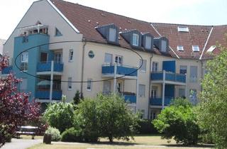 Wohnung mieten in 16356 Werneuchen, Moderne 2-Zimmer Wohnung mit 2 Balkonen in Werneuchen