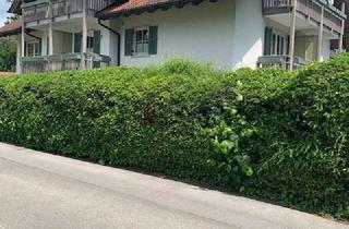 Wohnung mieten in 86911 Dießen, Gepflegte 3-Zimmer-Wohnung mit Balkon und EBK in Dießen/Riederau