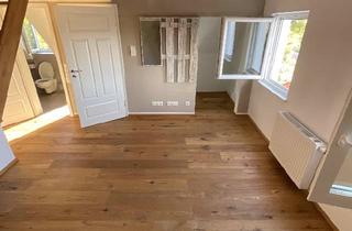Wohnung mieten in Lauinger Str. 20, 89407 Dillingen, Gemütliche 2 ZKB Dachgeschoss-Galeriewohnung