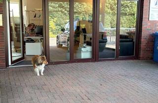 Büro zu mieten in Sanddornweg 15, 25479 Ellerau, Effiziente Bürofläche mit 110 m² in Ellerau top renoviert
